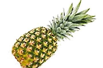 【さいたま発】8,990円の暑中お見舞いミステリー!パイナップルや夏の高原野菜セット・旬のきのこセットのお土産付き!さらにぶどうデラウェア狩り食べ放題もお楽しみ!3